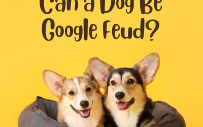 Can a Dog Be Google Feud Answers: Discover the Surprising Results!