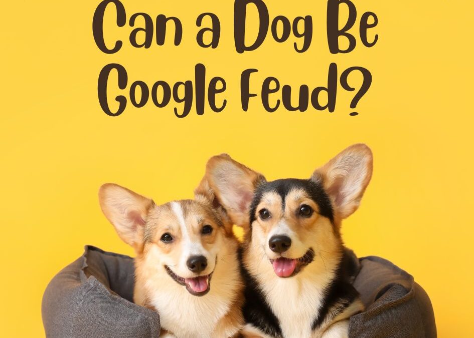 Can a Dog Be Google Feud Answers: Discover the Surprising Results!