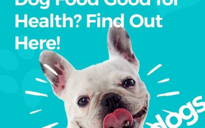 Is Pure Harmony Dog Food Good for Health? Find Out Here!