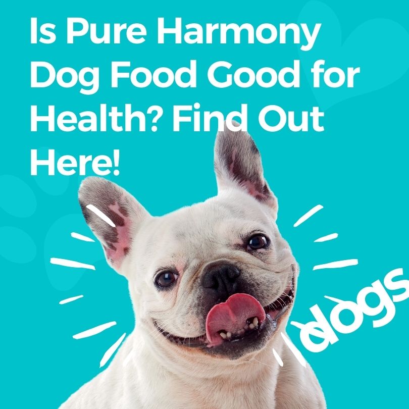 is pure harmony dog food good