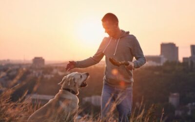 Master the Art of Becoming a Dog Trainer in Missouri: Proven Techniques Revealed!