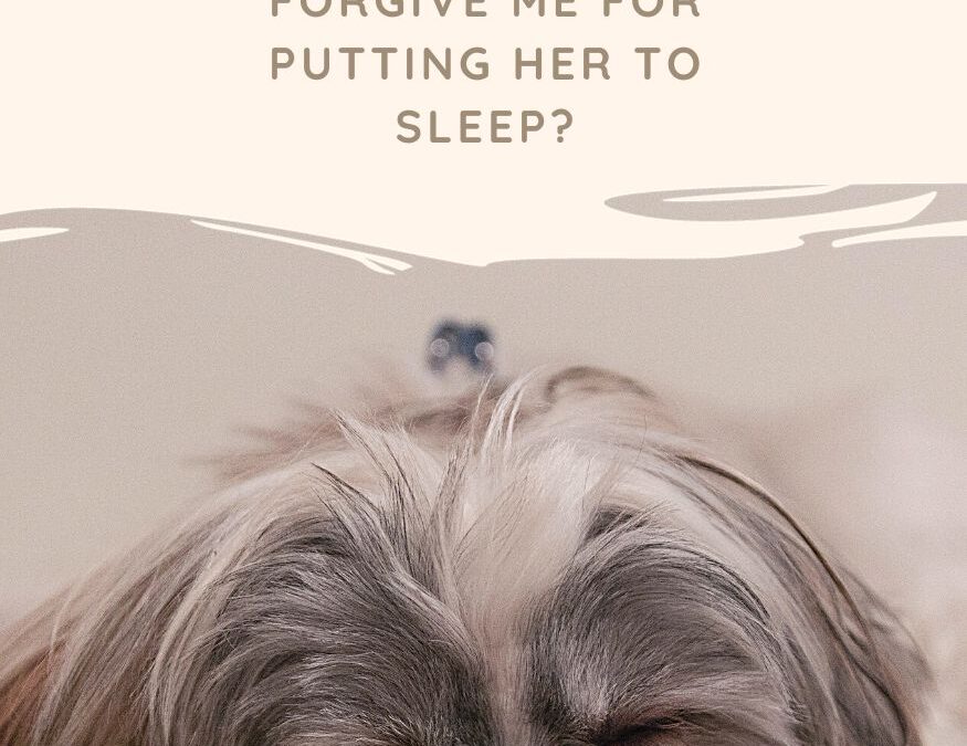 Will my Dog Forgive Me for Putting Her to Sleep? 6 Heartbreaking Stories that Reveal the Answer