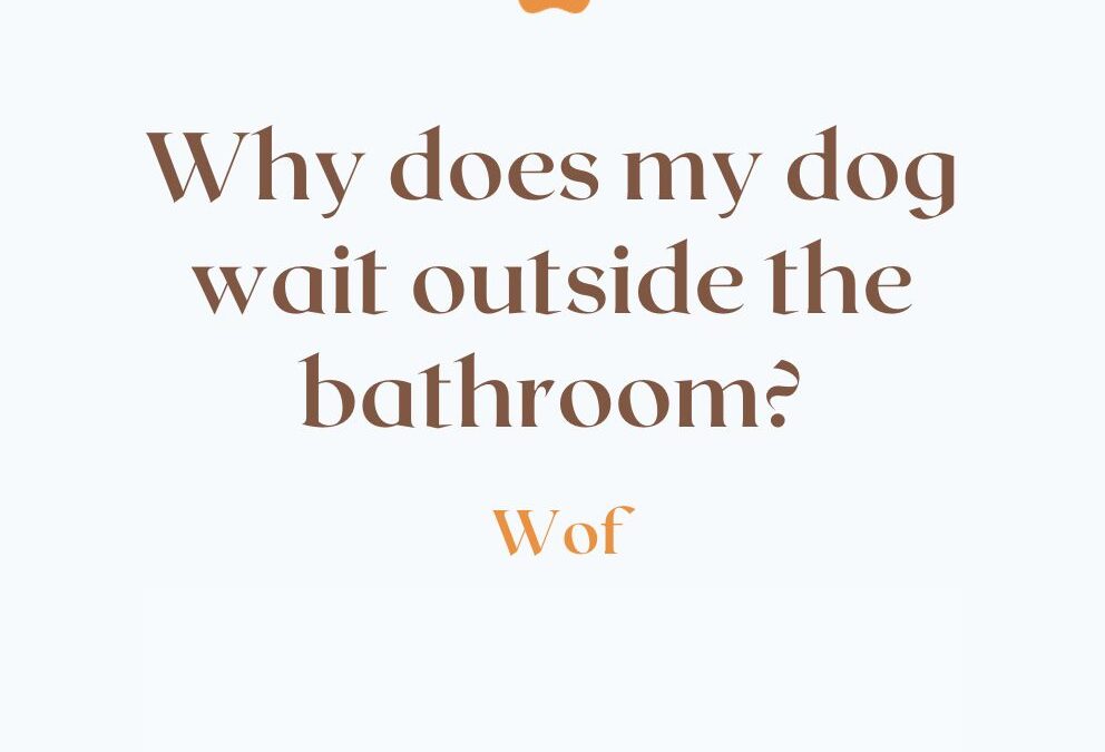 Why Does My Dog Wait Outside the Bathroom? Discover the Surprising Reason!