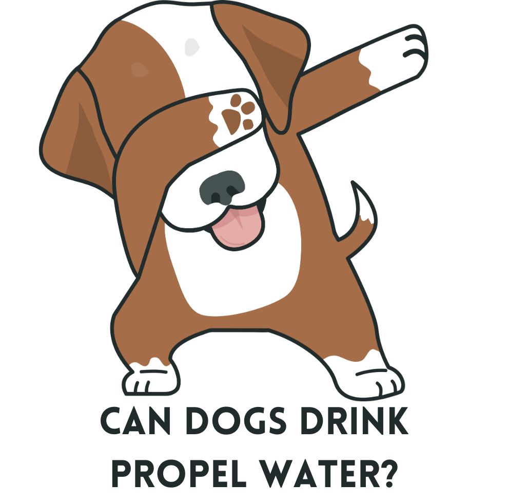 Can Dogs Drink Propel Water