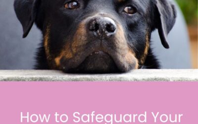 How to Safeguard Your Carpet from Dogs: The Ultimate Guide Thepetso.com