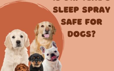 Is Dr. Teal’s Sleep Spray Safe for Dogs? Find Out Now!