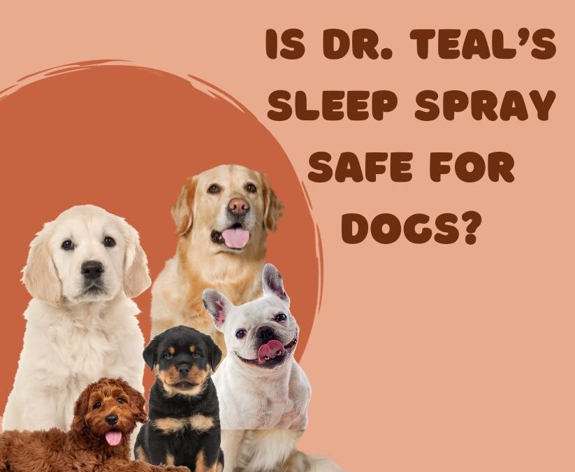 Is Dr. Teal’s Sleep Spray Safe for Dogs? Find Out Now!