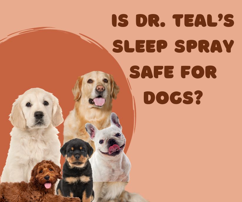 is dr teal's sleep spray safe for dogs