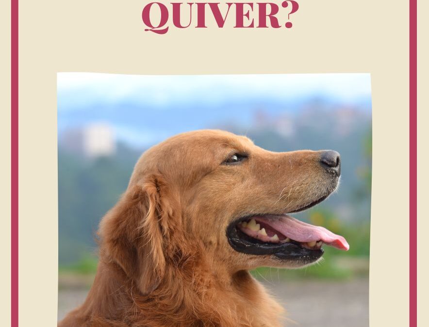 Why Does My Dog’s Tongue Quiver: Unveiling the Mystery Behind Quivering Tongues