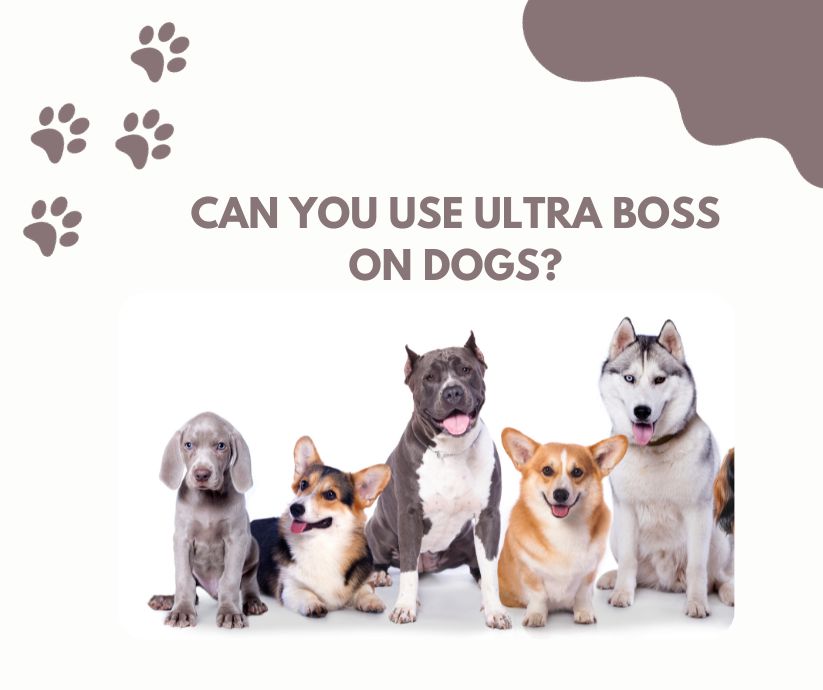 can you use ultra boss on dogs