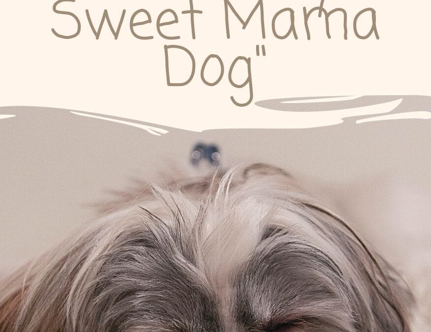 Don’t Cry Sweet Mama Dog Poem: A Heartfelt Tribute to Motherhood