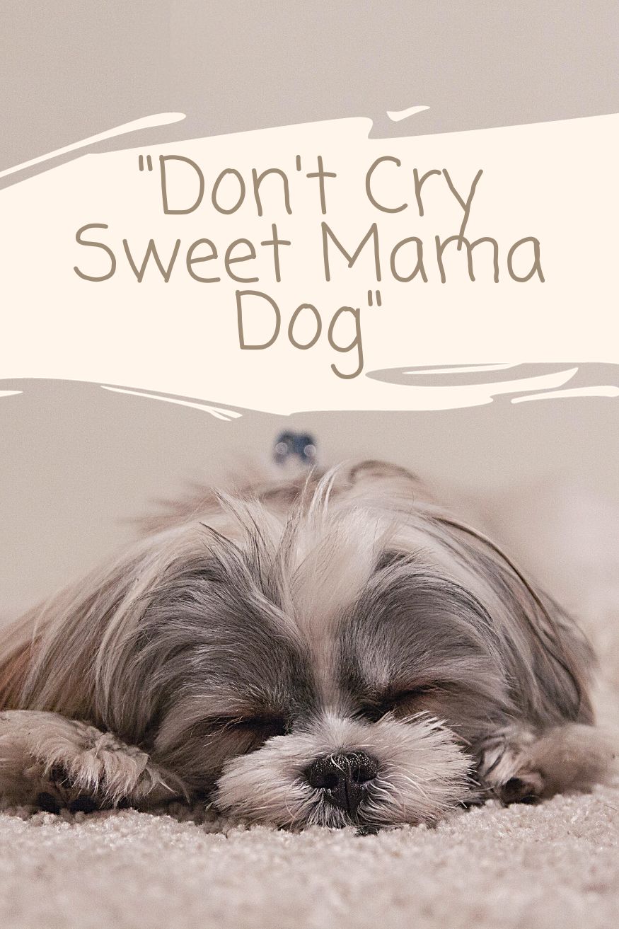 don't cry sweet mama dog poem