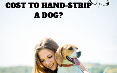 How Much Does It Cost to Hand Strip a Dog: The Ultimate Pricing Guide