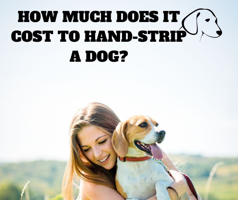 how much does it cost to hand strip a dog