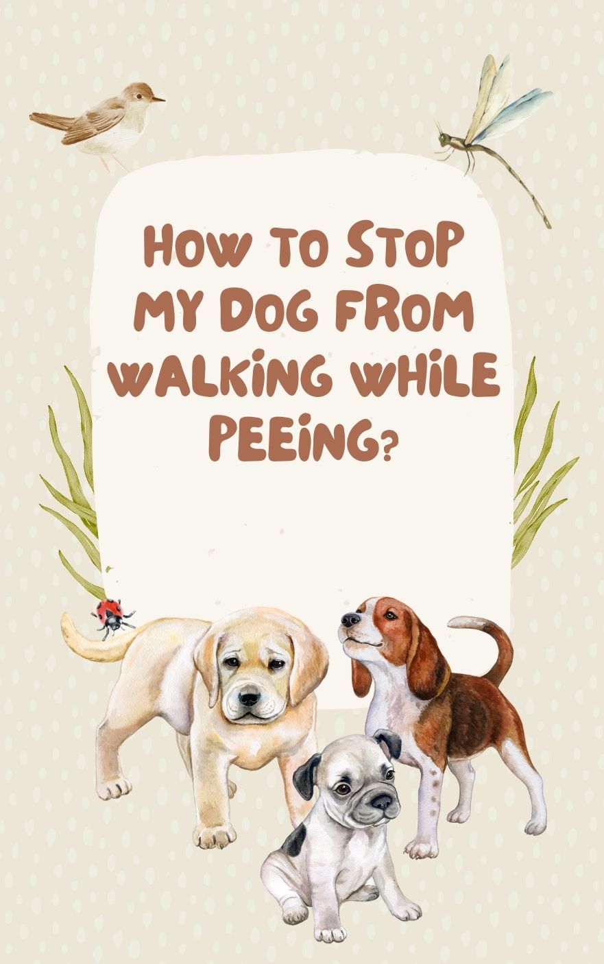 how to stop my dog from walking while peeing