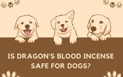 Is Dragon’s Blood Incense Safe for Dogs? The Ultimate Guide Revealed!