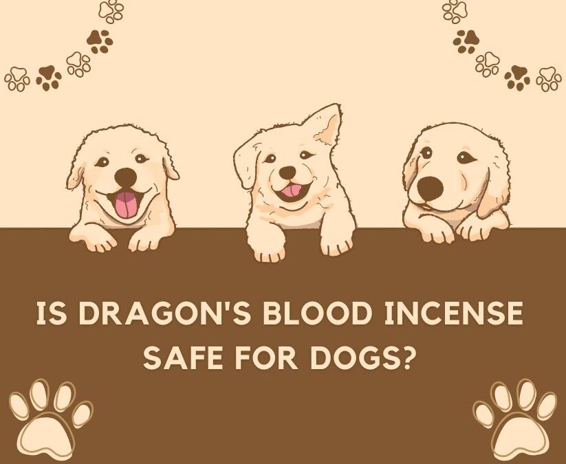 Is Dragon’s Blood Incense Safe for Dogs? The Ultimate Guide Revealed!