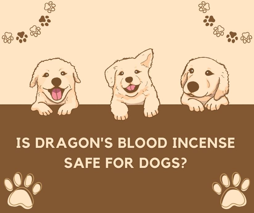 is dragon's blood incense safe for dogs