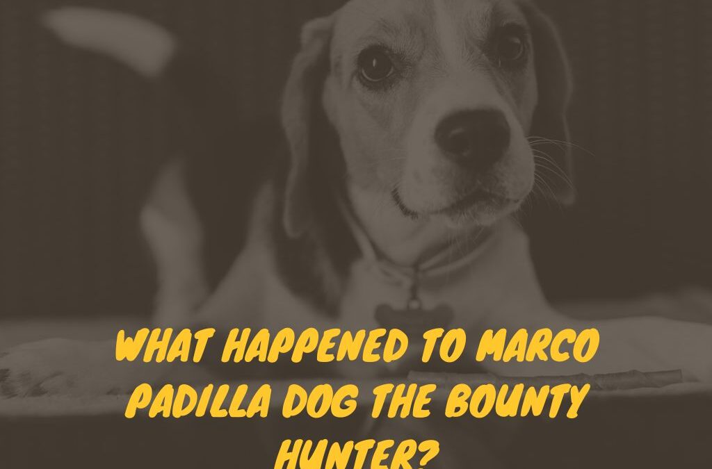 What Happened to Marco Padilla Dog the Bounty Hunter: Unveiling the Untold Truth