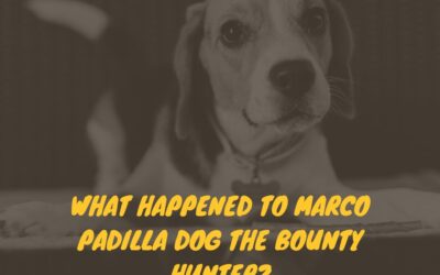 What Happened to Marco Padilla Dog the Bounty Hunter: Unveiling the Untold Truth