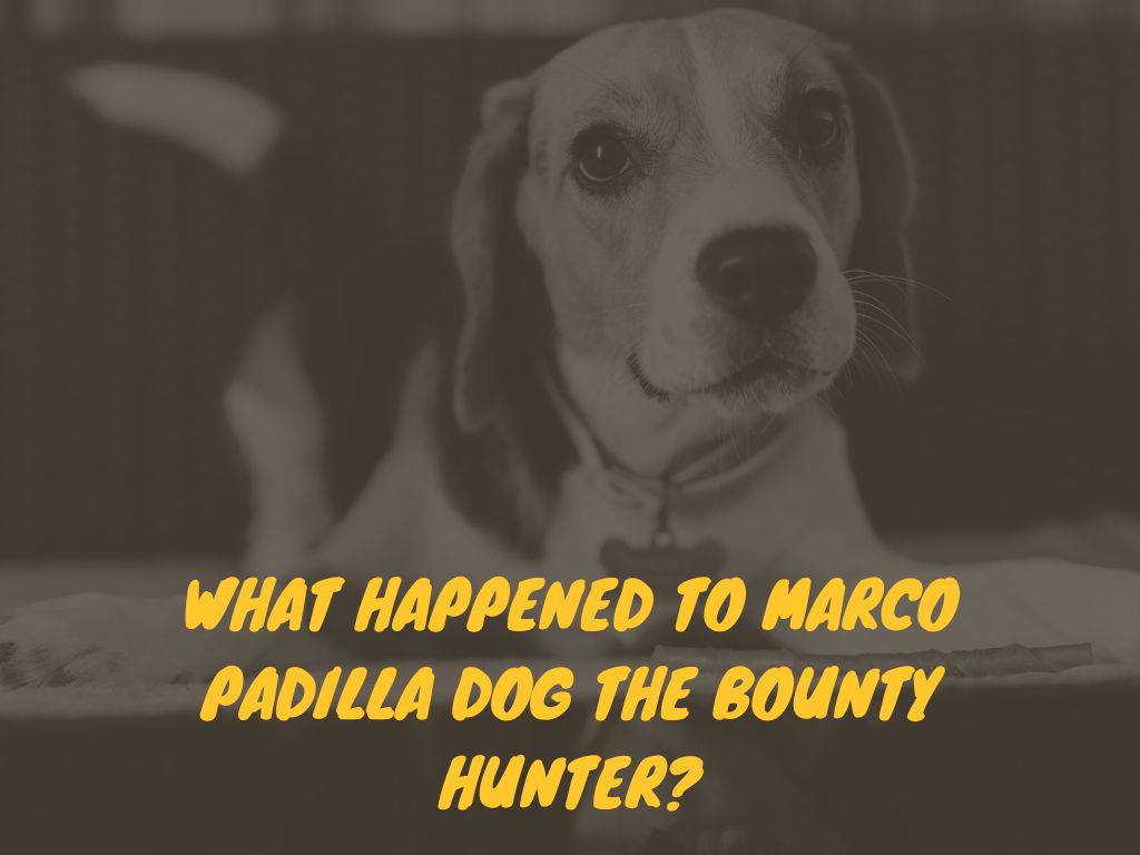 what happened to marco padilla dog the bounty hunter