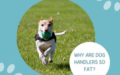 Why are Dog Handlers So Fat? Discover the Surprising Reasons!