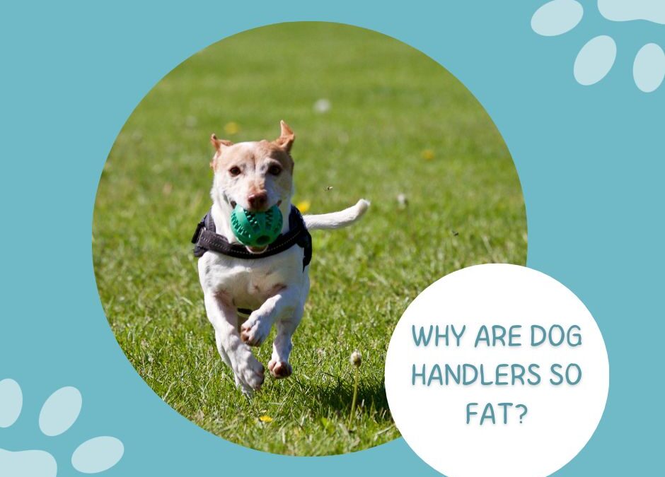 Why are Dog Handlers So Fat? Discover the Surprising Reasons!