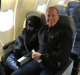 Can You Buy a Dog a Seat on a Plane