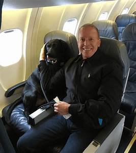 Can You Buy a Dog a Seat on a Plane